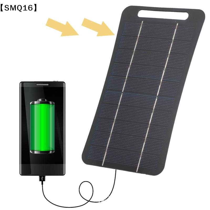 2W Solarladegerät Tragbar mit  – Usb Charger Dynamo Bewertung und Preis